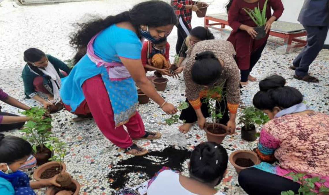 Tree Plantation Drive